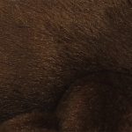 Aurora World - MINI FLOPSIES Tengeri fóka