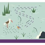 Auzou Letörölhető fejtörő feladatkártyák, Játék az állatokkal