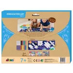 Avenir Pixel technika, Űrhajó