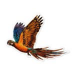 Avenir Karckép matricák, Madarak