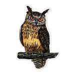 Avenir Karckép matricák, Madarak