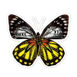 Avenir Karckép matricák, Pillangók