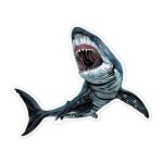 Avenir Karckép matricák, Tengeri Állatok