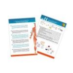 BUKI Tudományos készlet - Az emberi test