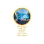 BUKI Tudományos készlet, Mágikus üst 30 varázslattal