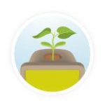 BUKI Növénytan, Csíráztató doboz