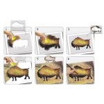 CreaLign Kép készítés stencillel, Barlangi festmények