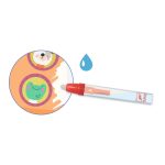 Djeco Vízzel festő készlet - Utazások - On the road