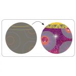 DJECO Karckép technika - Gyönyörű ruhák