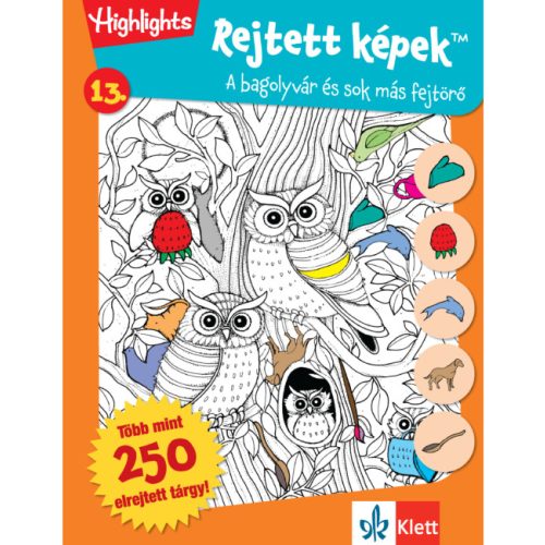 Klett Rejtett képek 13. Bagolyvár és sok más fejtörő