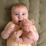 Little Dutch Plüss malac 17 cm - Little Farm