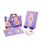 MierEdu Hordozható mágneses tábla, Emberi test