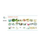 Moulin Roty - Diavetítő lámpa - Mesevetítő: Parányi világ