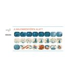 Moulin Roty - Diavetítő lámpa - Mesevetítő: A majomkenyérfa alatt