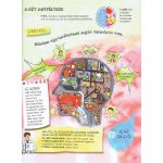 Szórakoztató tudomány - Az emberi test csodája