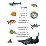 101 dolog, amit jó, ha tudsz a vízi élőhelyek állatairól