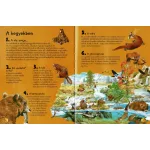 101 dolog, amit jó, ha tudsz a vízi élőhelyek állatairól