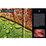 Olvassatok velünk! - 2500 érdekesség