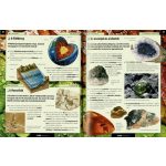 Olvassatok velünk! - 2500 érdekesség