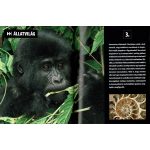 Olvassatok velünk! - 2500 érdekesség