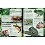 Olvassatok velünk! - 2500 érdekesség