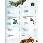 Az állatvilág építőmesterei