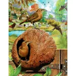 Az állatvilág építőmesterei