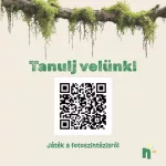Varázslatos útmutató a fákhoz