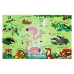 Nyisd ki és fedezd fel - Az állatok