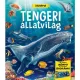 Dioráma - Tengeri állatvilág