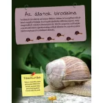 Az állatok nagy könyve