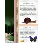 Az állatok nagy könyve