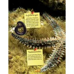 Az állatok nagy könyve