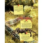 Az állatok nagy könyve