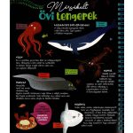 Csodalámpa - Tengeri állatok 