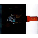 Csodalámpa - Tengeri állatok 