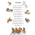 101 dolog, amit jó, ha tudsz a lovakról