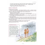 Biblia Gyerekeknek 