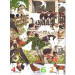 1000 állat matricája - Fehér