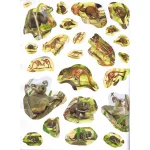 1000 állat matricája - Fehér