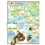 Képes atlasz gyermekeknek - Állatok a világban matricákkal