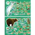 Képes atlasz gyermekeknek - Állatok a világban matricákkal