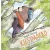 Vadadi Adrienn - Kicsimackó