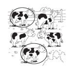 Ovisok rejtvénykönyve utazáshoz