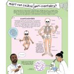 Hogyan működik az emberi test? – A csontoktól az idegrendszerig, a szervrendszerektől az érzékelésig