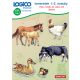 LOGICO Piccolo feladatkártyák - Ismeretek 1-2. osztály: Házi-, hobbi- és vadon élő állatok