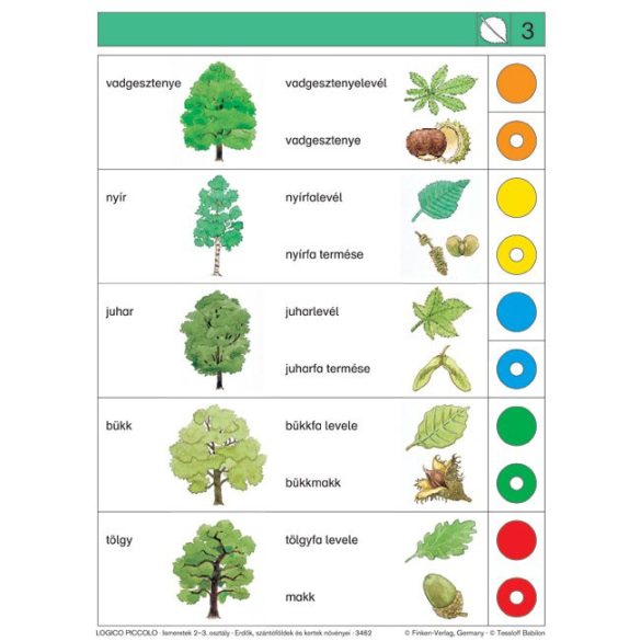 LOGICO Piccolo feladatkártyák - Ismeretek 2-3. osztály: Erdők, szántóföldek és kertek növényei