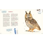 Tessloff-Babilon - Mister Morrison mágikus állatlexikona