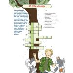 Tessloff-Babilon -Mágikus állatok iskolája – Nagy rejtvénykönyv – Titkos küldetés