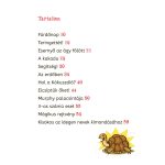 Tessloff-Babilon - Mágikus állatok iskolája –Kinyomoztuk! 3. – Kókuszhajsza